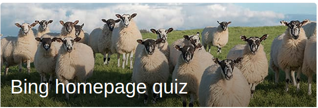 Bing Daily Trivia Quiz: Swaledale Sheep